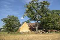 Trstěnice u Litomyšle – Žroutova stodola – Obnova polygonální roubené stodoly 